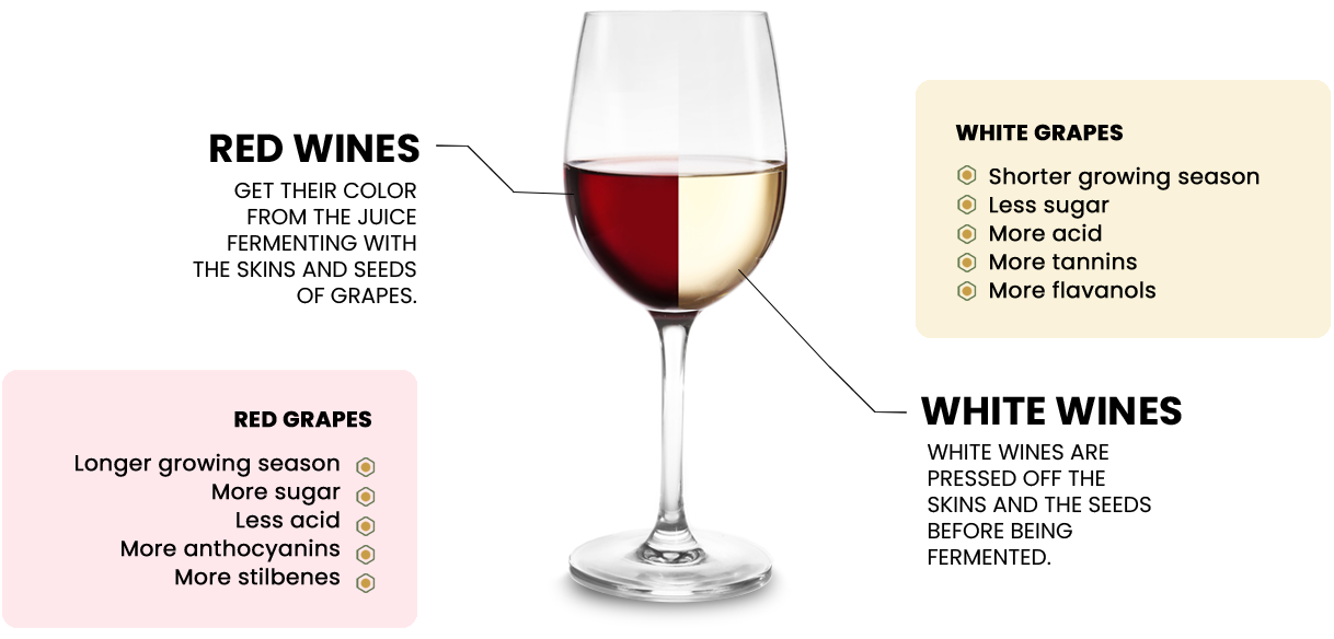 Wine comparison mobile