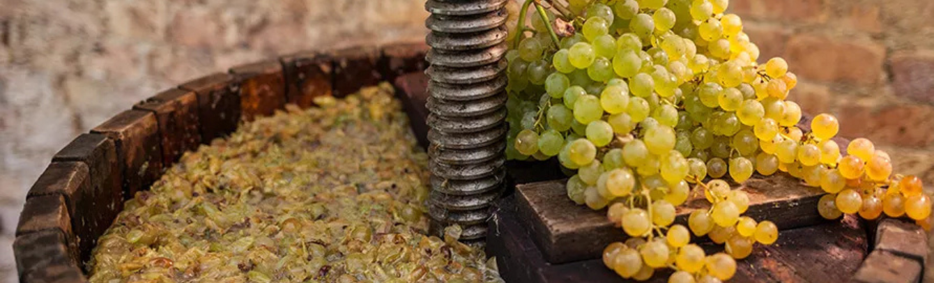 What is Chardonnay Marc, anyway?