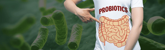 Move Over Kombucha: Why Prebiotics Are the True Gut Heroes