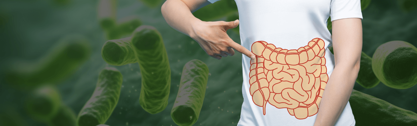 Move Over Kombucha: Why Prebiotics Are the True Gut Heroes