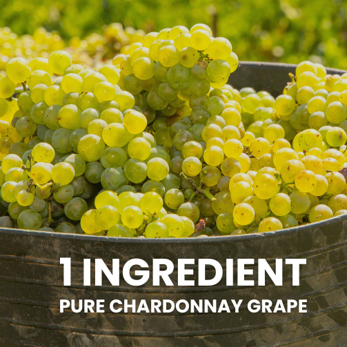 Pure Chardonnay grapes, the single upcycled ingredient used in WellVine Smart Prebiotic