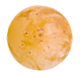 grape 14