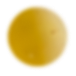 grape 18