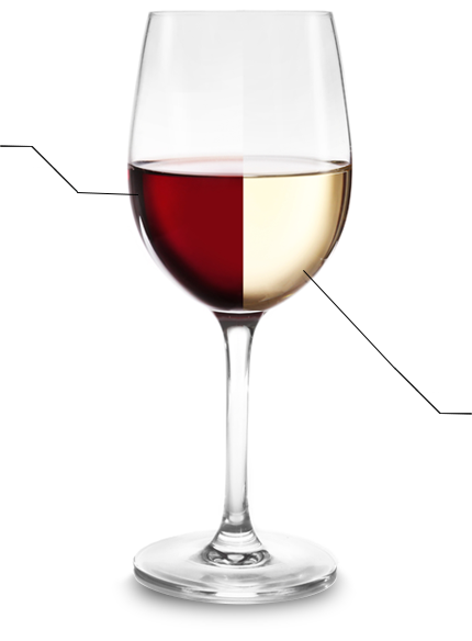 Wine comparison