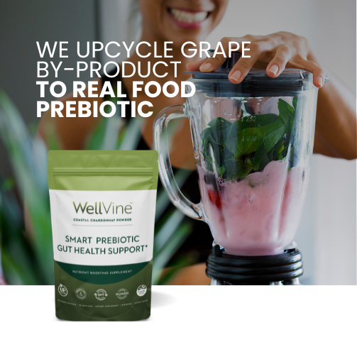 Lifestyle image of WellVine Smart Prebiotic being added to a smoothie for gut health