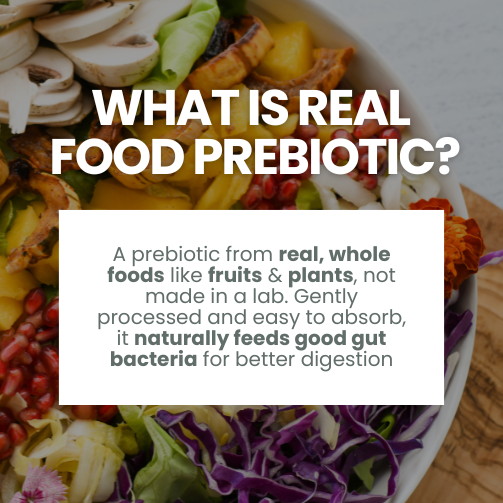 Explanation of real food prebiotics made from plants and fruits, not synthetic sources